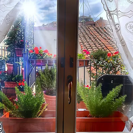 Apartment Sonia Campo De' Fiori